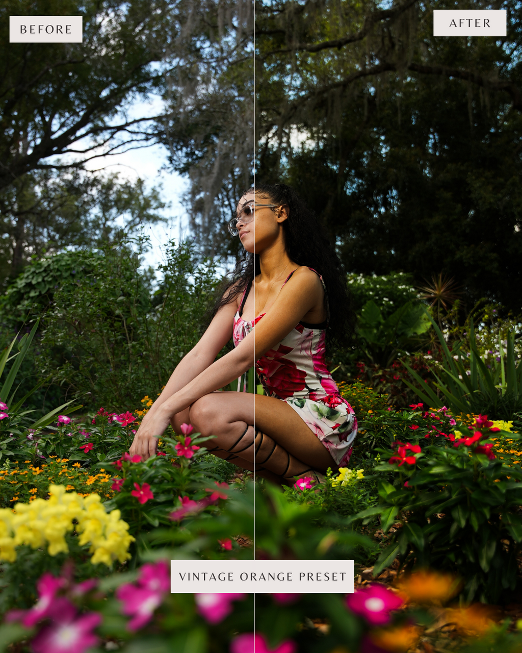 Taxipng | Daytime Presets | V1